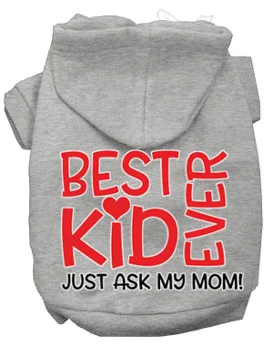 Ask My Mom Screen Print Dog Hoodie Grey Xxxl